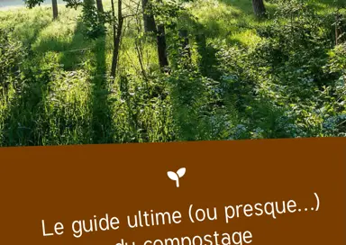 Le guide ultime (ou presque...) du compostage