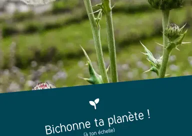 Bichonne ta planète ! (à ton échelle)