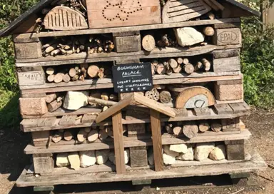 Hôtel à insectes, une bonne idée ?
