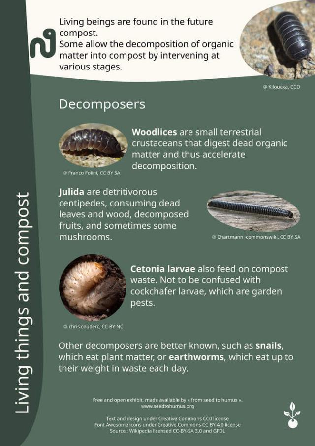 Exhibition on compost 1